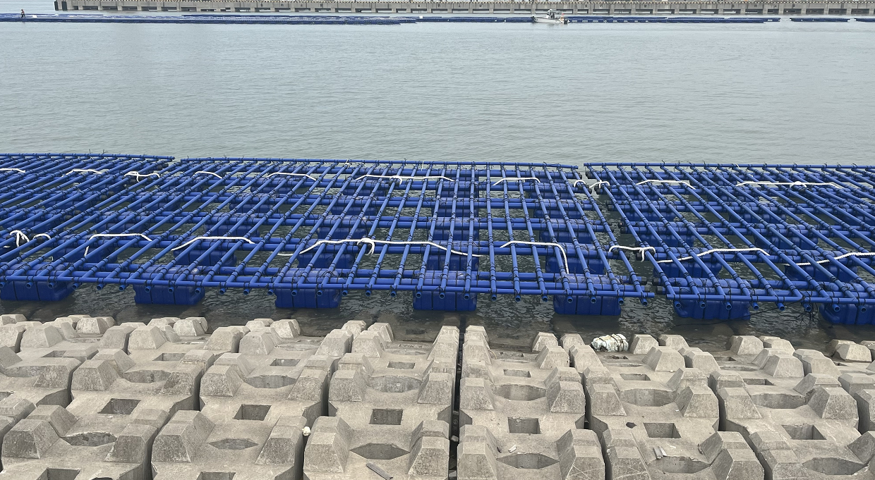 生蠔養(yǎng)殖水質(zhì)污染監(jiān)測、助推養(yǎng)殖業(yè)提升品質(zhì)應(yīng)用方案