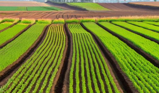 智慧農(nóng)業(yè)氣象監(jiān)測(cè)站 實(shí)時(shí)捕捉田間氣象要素動(dòng)態(tài)變化